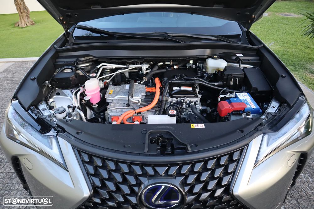 Lexus UX 300e Luxury - 11