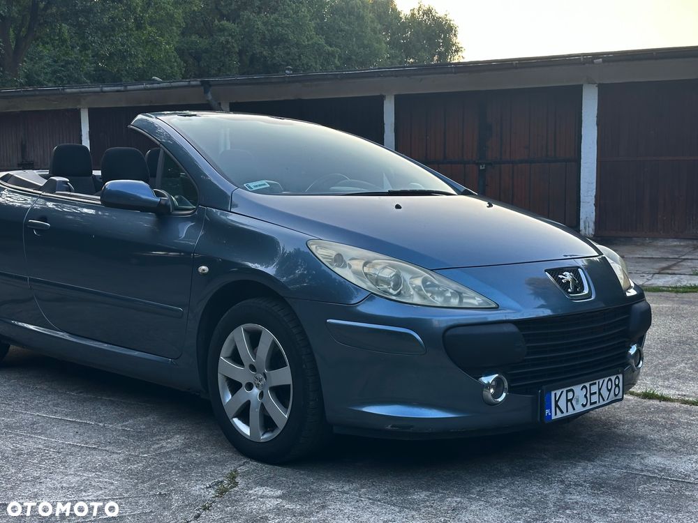 Peugeot 307 CC - 14