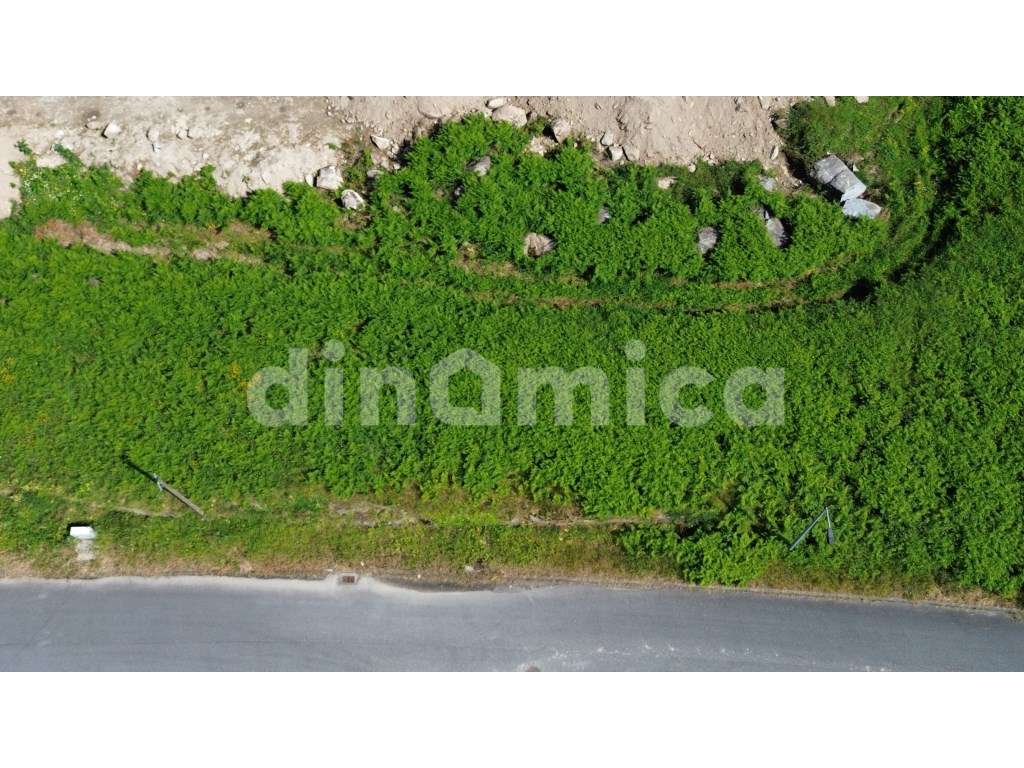 Lote de Terreno - Grande imagem: 3/4