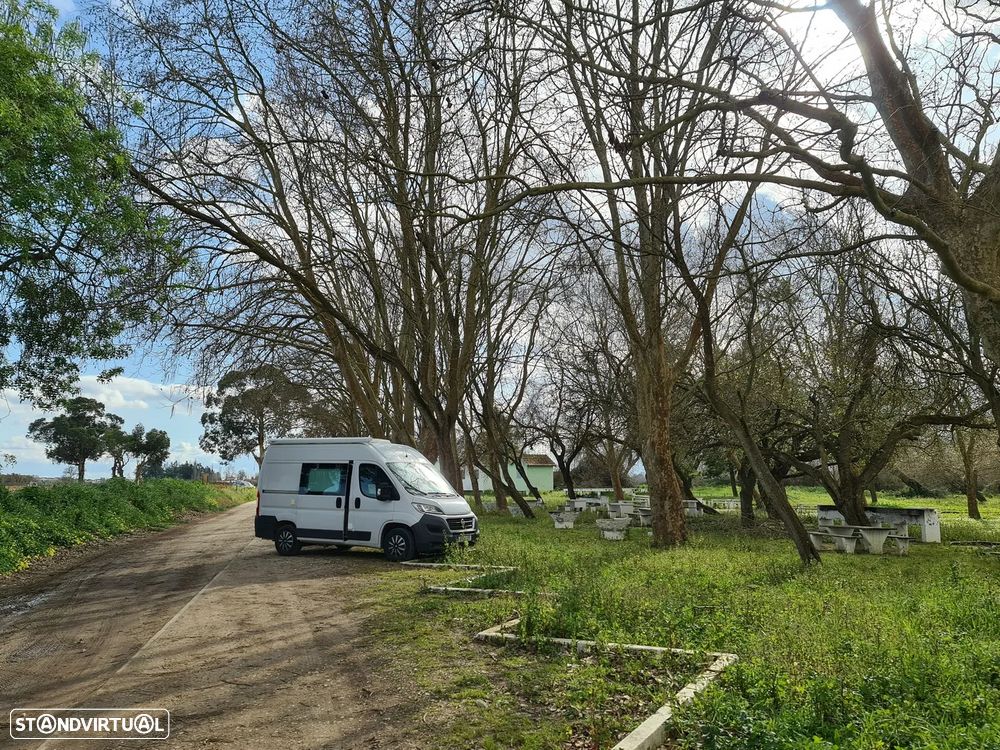 Fiat Ducato 250 - 2