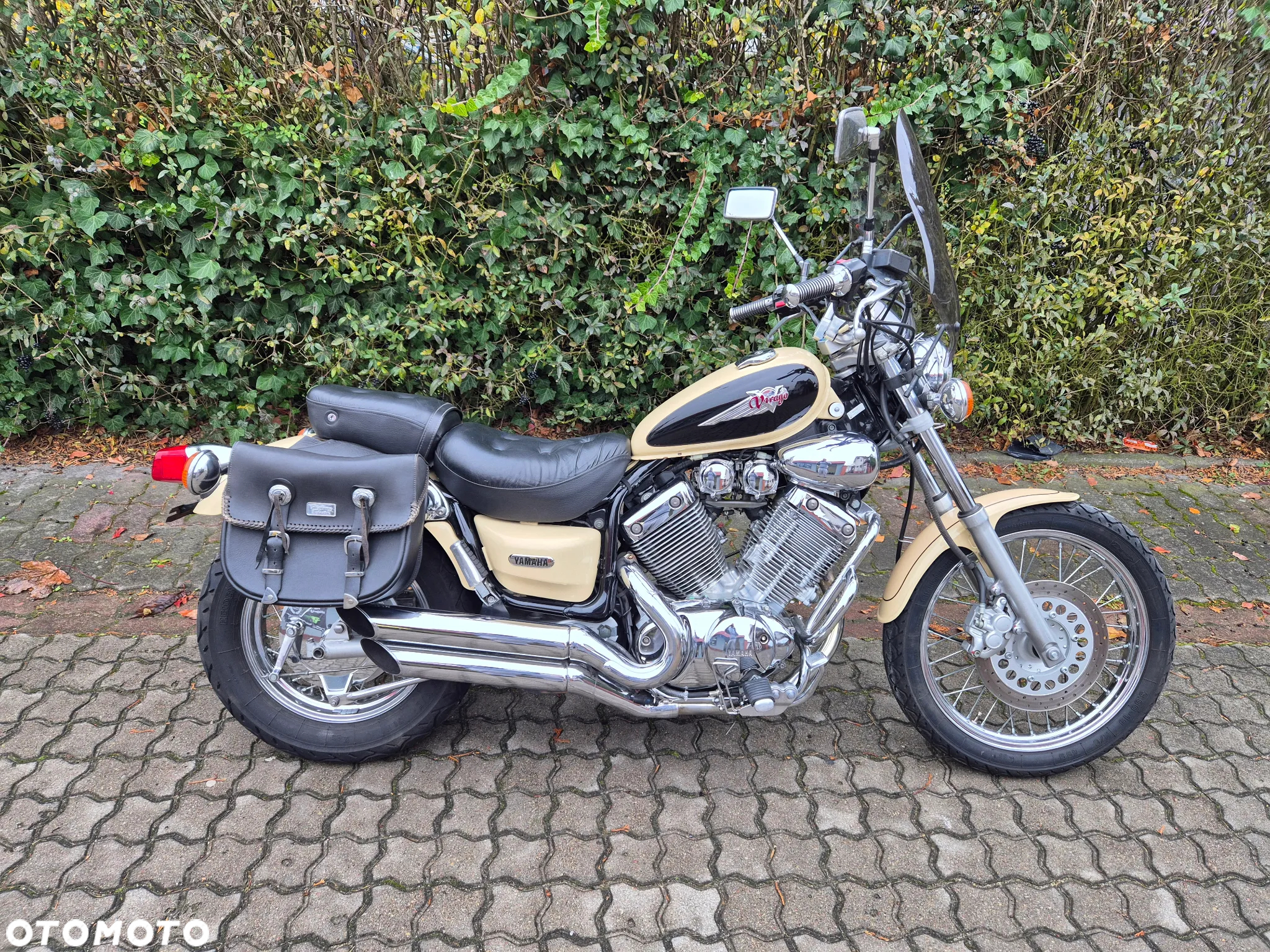 Yamaha Virago - 13