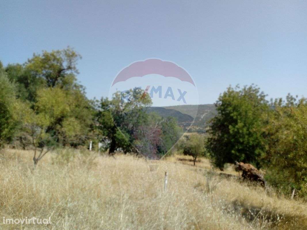 Terreno T0 para venda - Grande imagem: 4/9