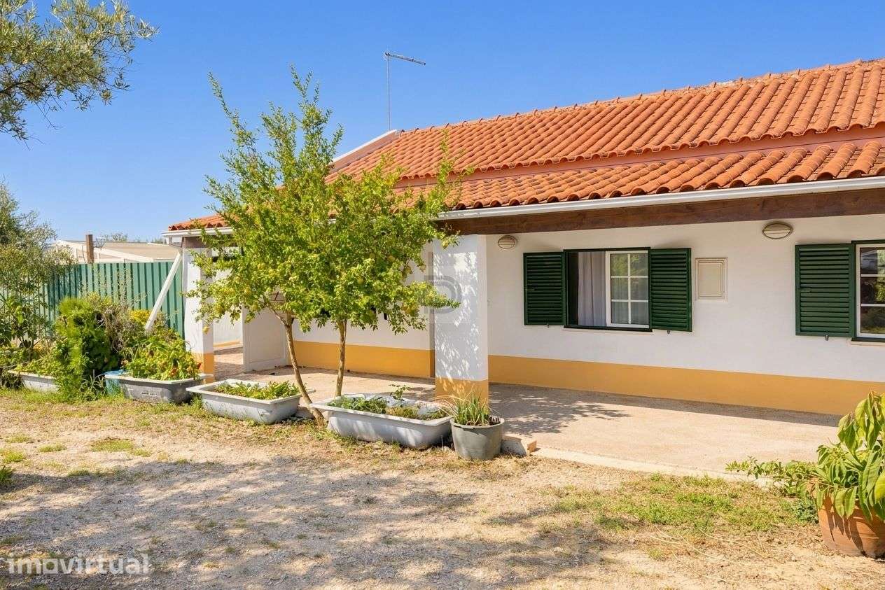 Quinta T6 com 11.000 m², Piscina e Pomar | Pegões - Grande imagem: 3/20