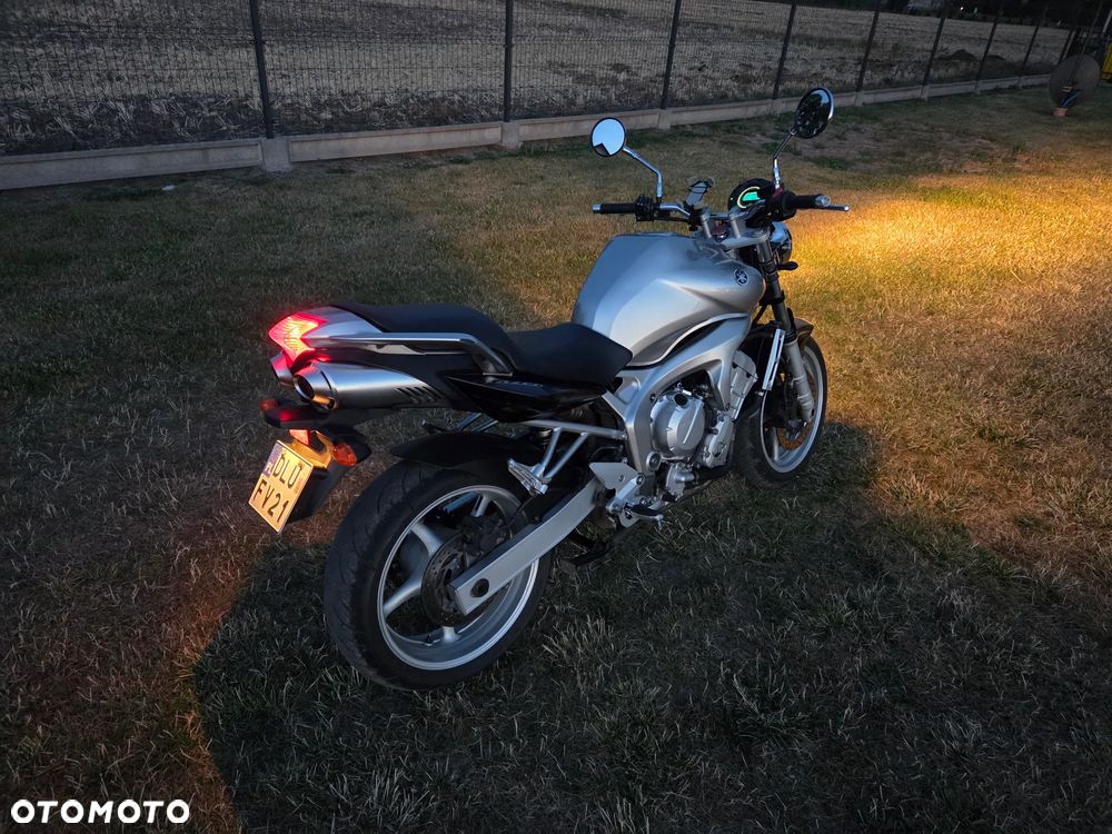 Yamaha FZ6 - 15