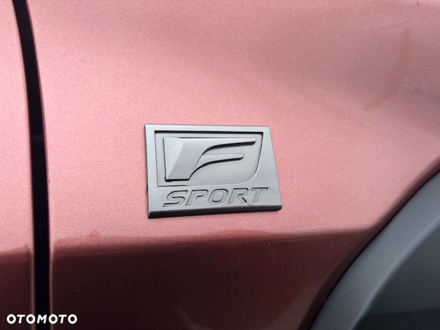 Lexus UX 300h F Sport Design AWD - 30