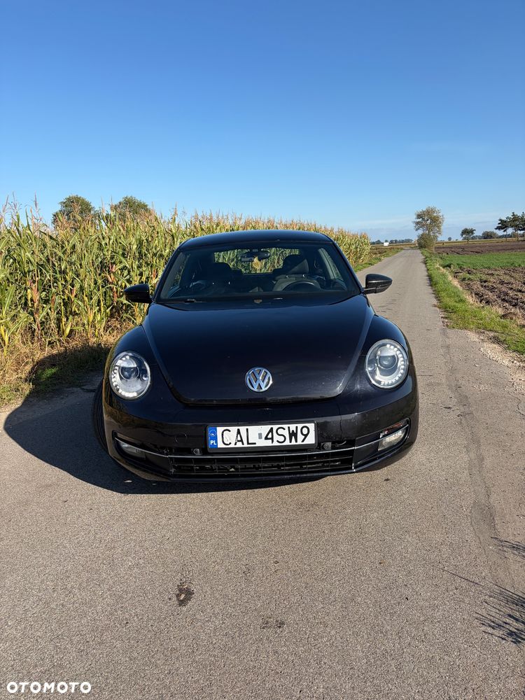 Volkswagen Beetle - 7