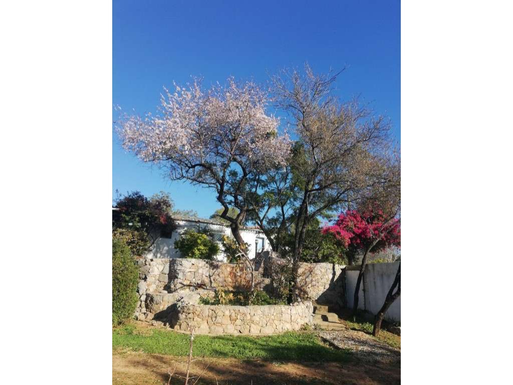 Casa de campo para renovar ou reconstruir , com uma área bruta de c... - Grande imagem: 3/31