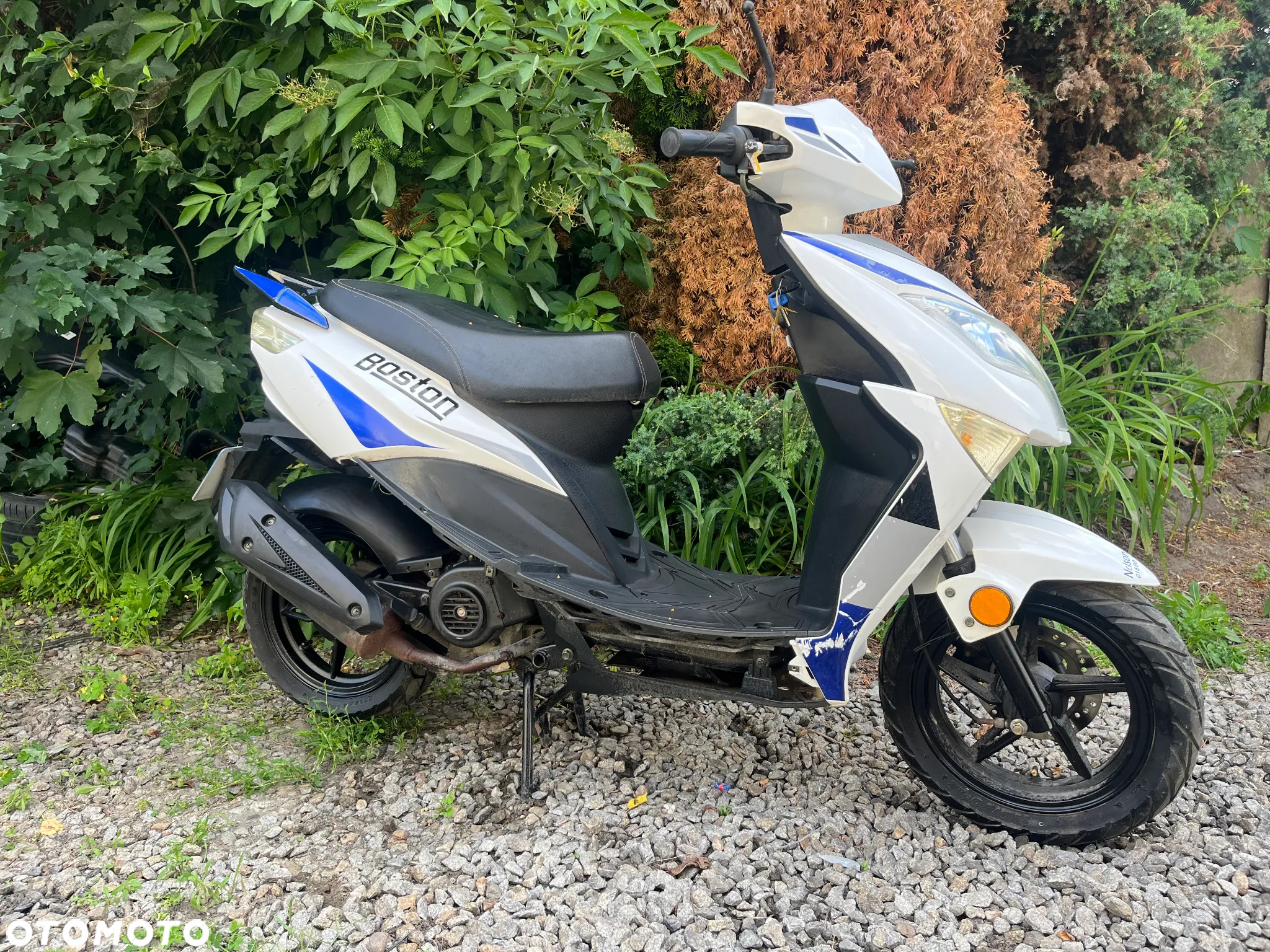 Piaggio ZIP - 9