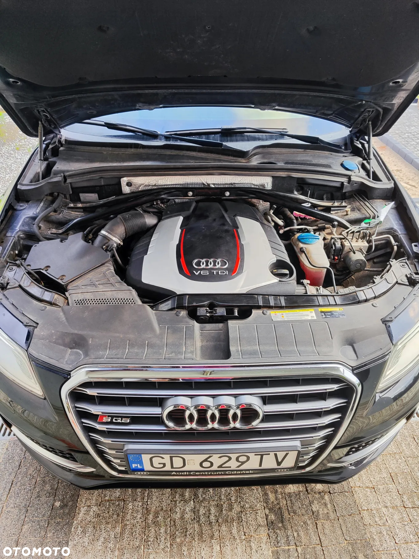 Audi SQ5 3.0 TDI Quattro Tiptronic - 8