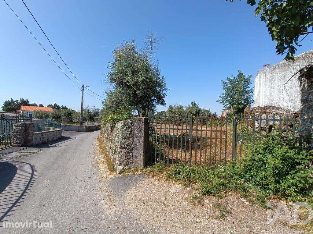 Terreno em Moimenta da Serra e Vinhó de 11200,00 m2 - Grande imagem: 3/20