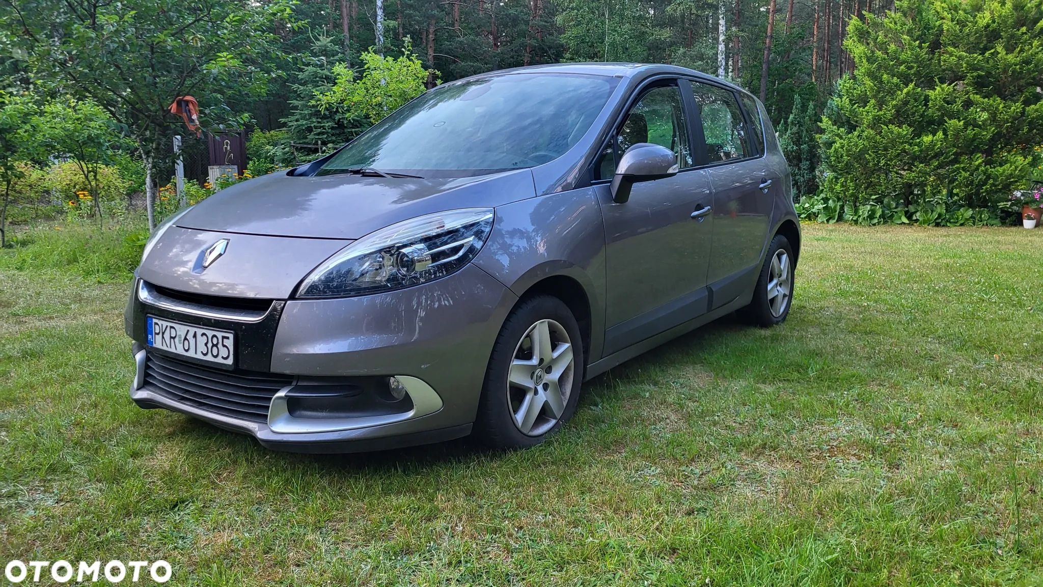 Renault Scenic - 1