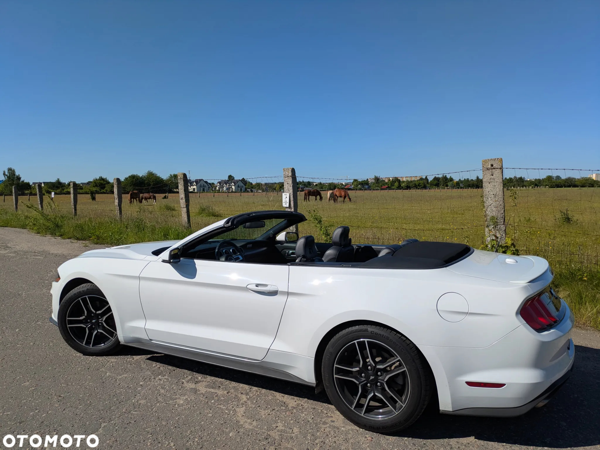 Ford Mustang 2.3 EcoBoost - 32