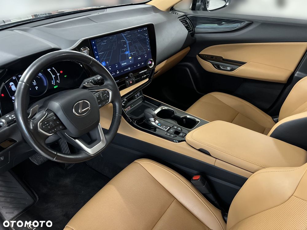Lexus NX - 18