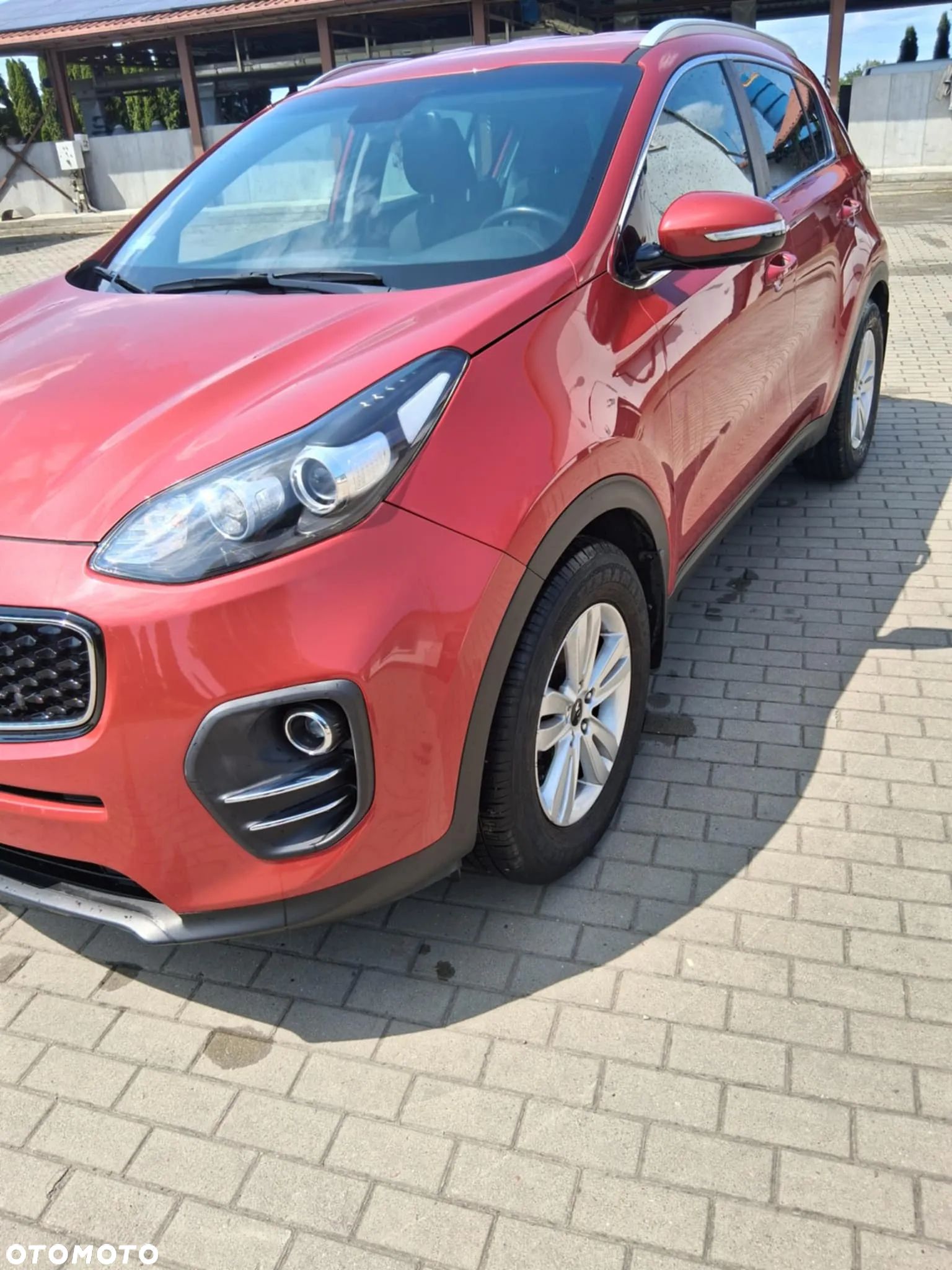 Kia Sportage - 1