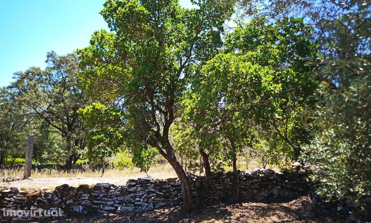 Terreno Urbanizavel Cidade de Fátima! - Grande imagem: 4/9