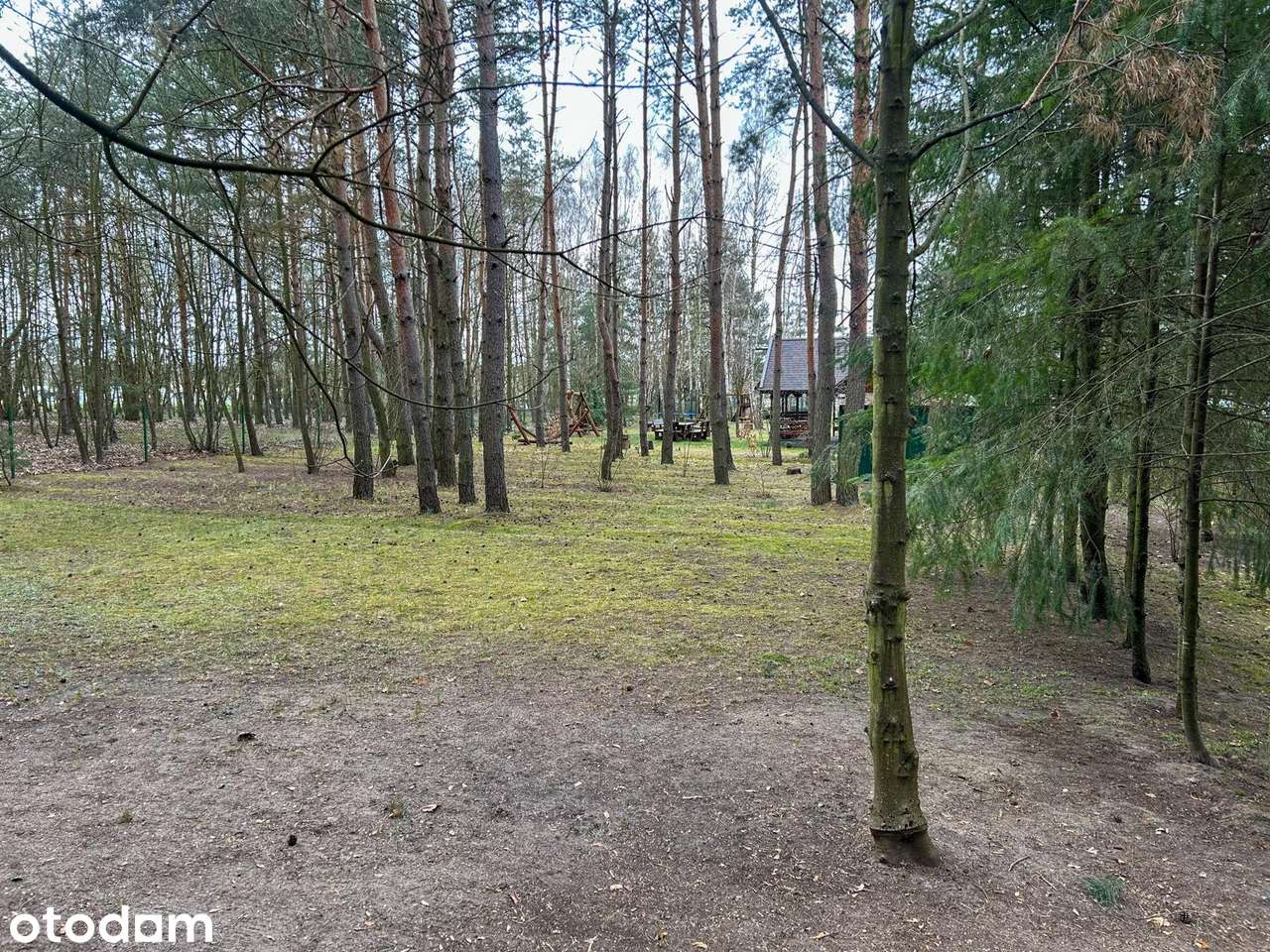 Działka letniskowa z domkiem nad jeziorem w lesie - Pełny obrazek: 2/20