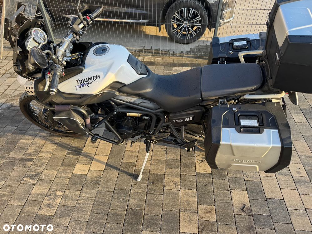 Triumph Tiger - 16