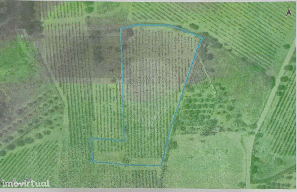 Terreno  para venda - Grande imagem: 5/6