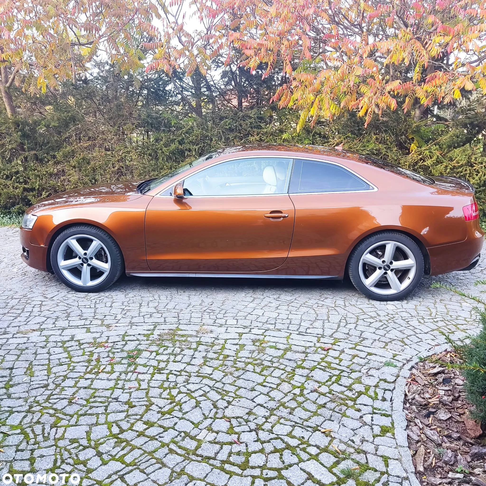 Audi A5 2.0 TFSI - 14