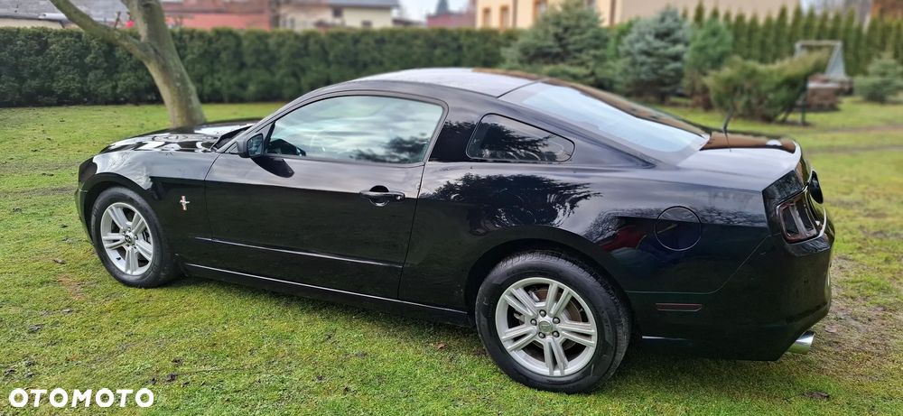 Ford Mustang 3.7 V6 - 16