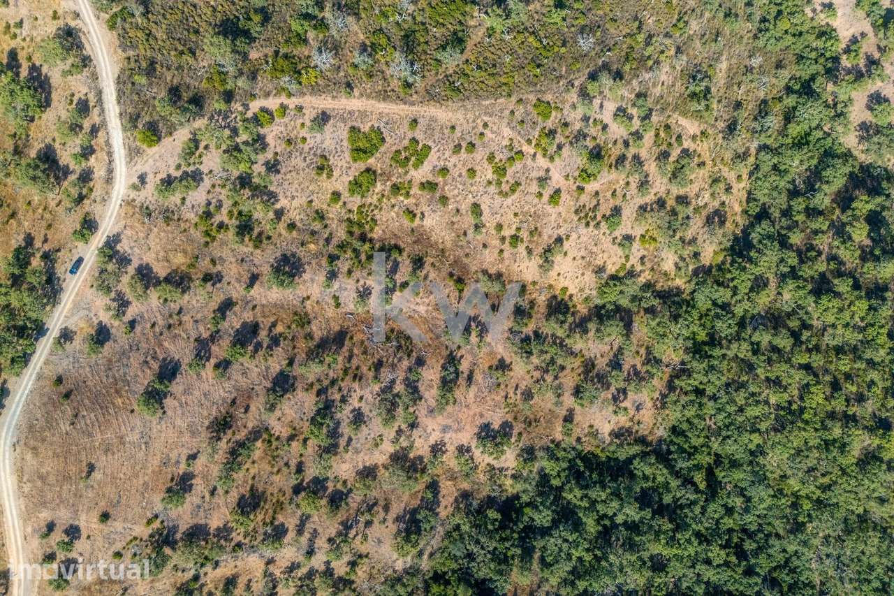 Terreno com 4750 m2 em Cepo, Querença, produção cortiça e medronhos - Grande imagem: 2/31