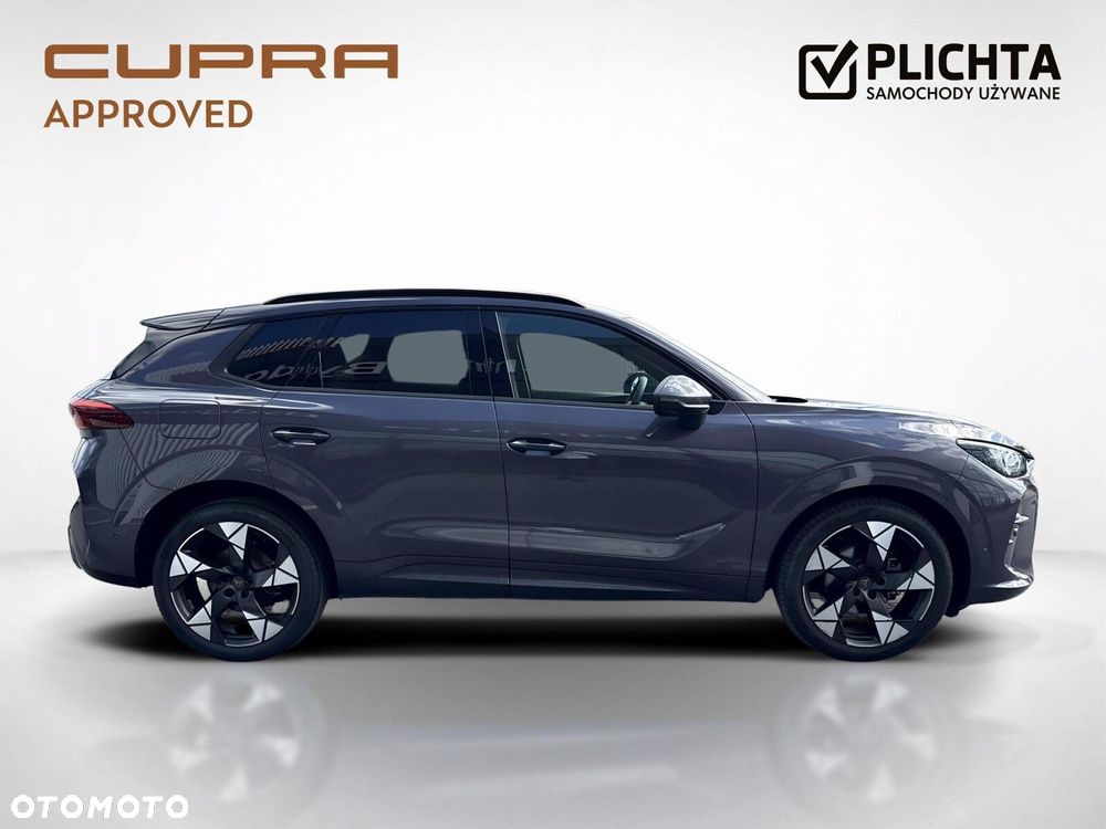 Cupra Terramar - 6