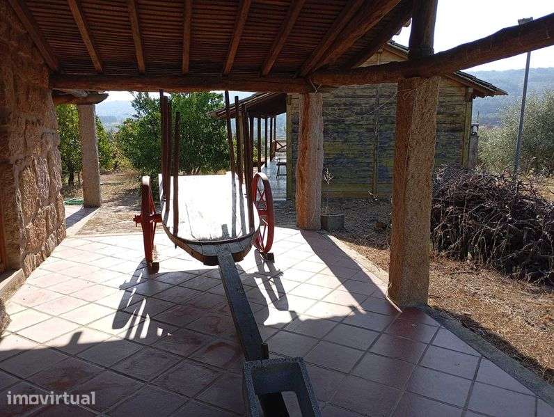 Quinta com 3 casas, vinha, olival e água em abundância, inclui recheio - Grande imagem: 5/11