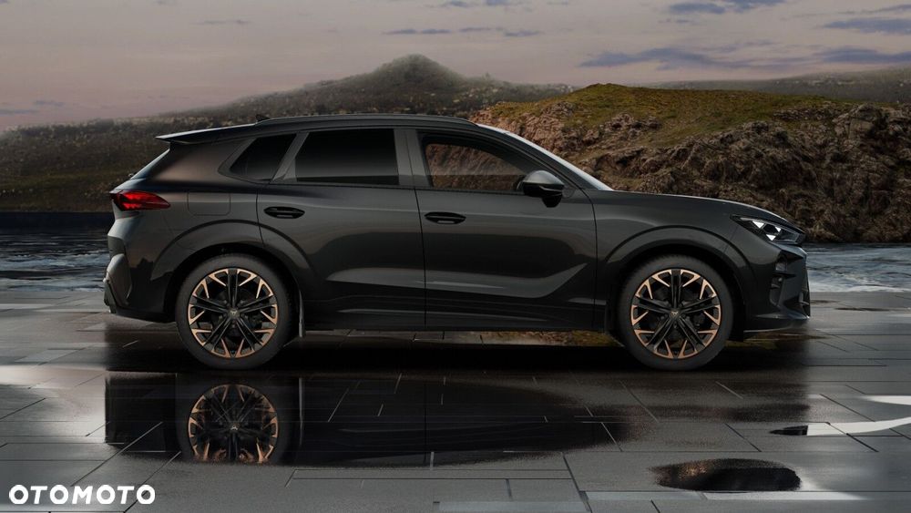 Cupra Terramar 2.0 TSI 4Drive DSG - 6