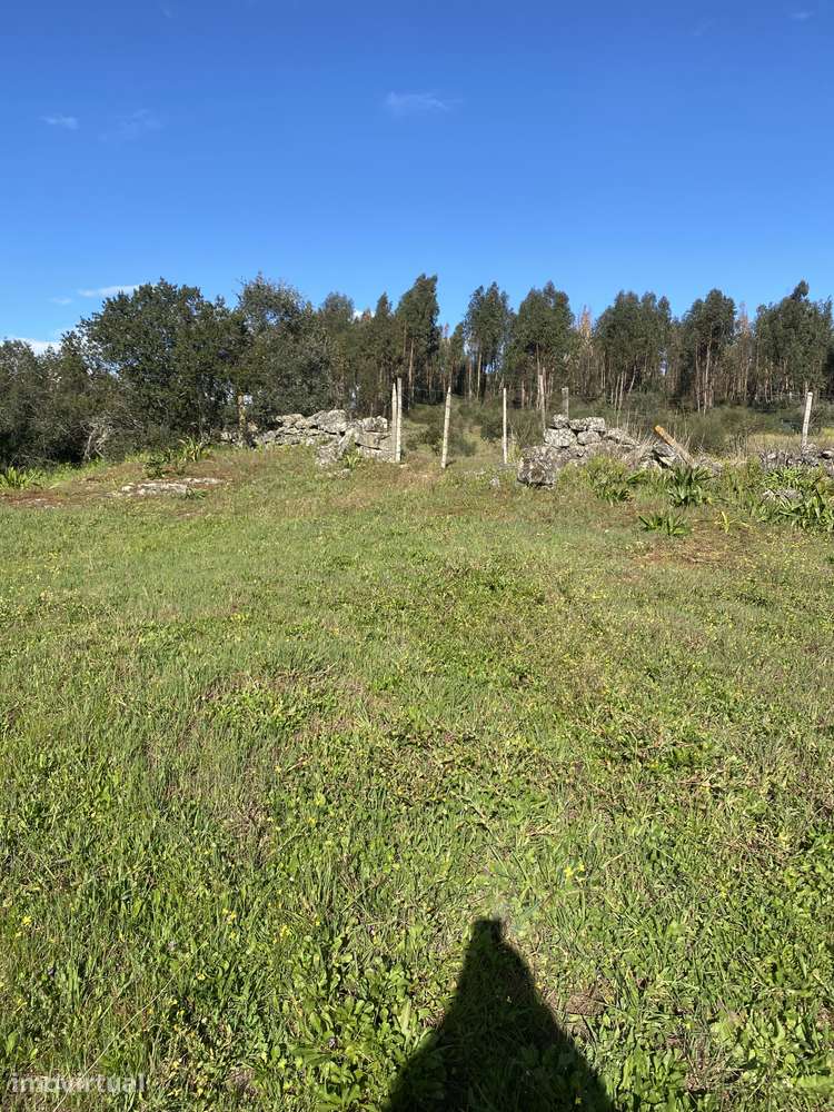 Terreno rústico com acesso pavimentado - 1250m² - Grande imagem: 3/7