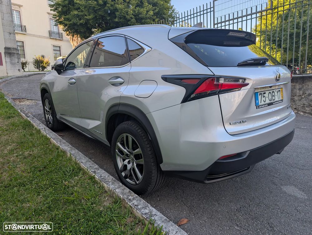 Lexus NX 300h Executive Plus - 6