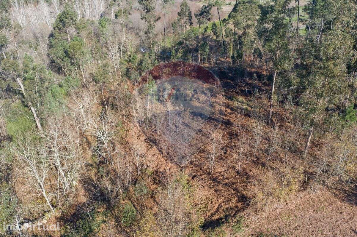 Terreno  para venda - Grande imagem: 5/11