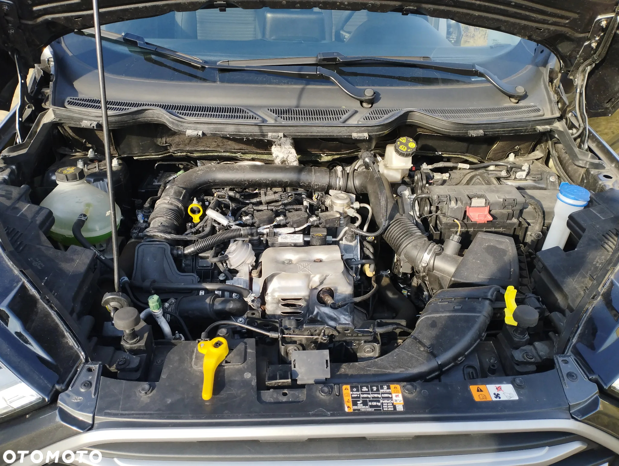 Ford EcoSport 1.0 EcoBoost ST-Line ASS - 16
