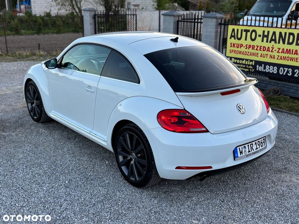 Volkswagen Beetle - 23