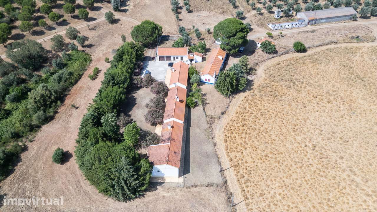 Moradias (T4 e T2) em Herdade 38 ha com Barragem Privativa - Grande imagem: 2/30