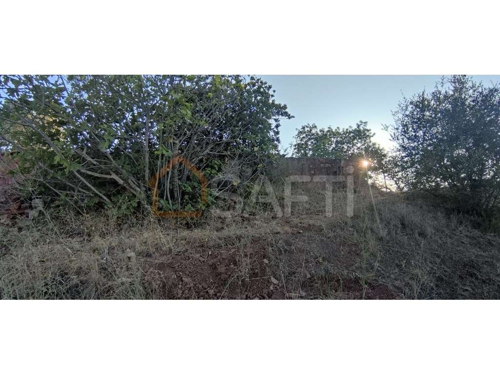 2 Lotes urbanos com ruínas - Grande imagem: 3/9