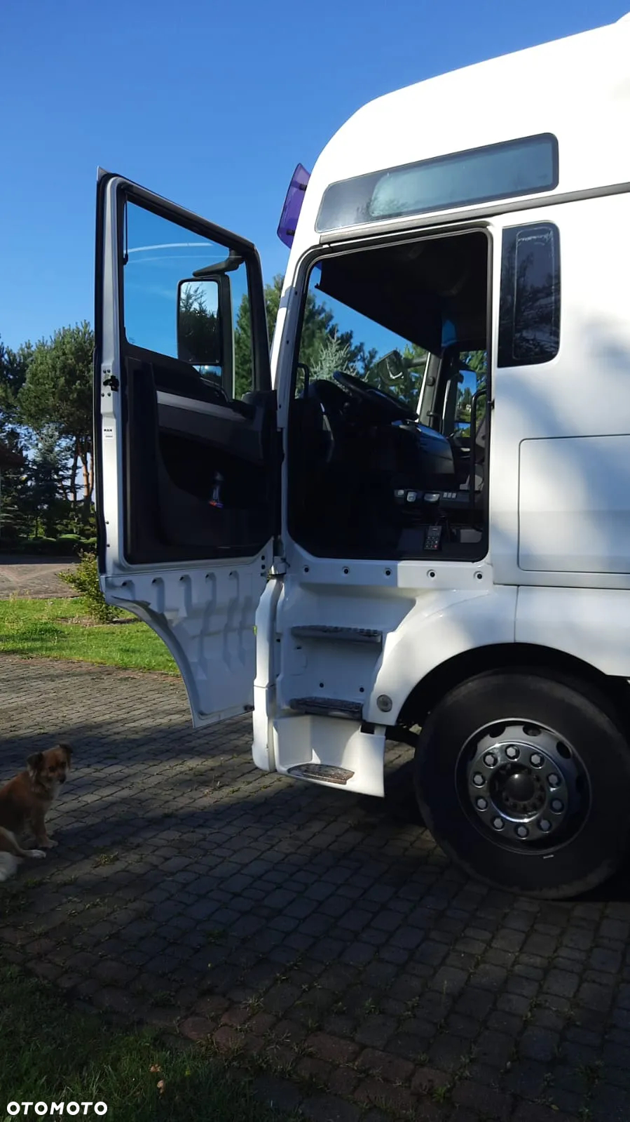 MAN TGX 26 440 - 9