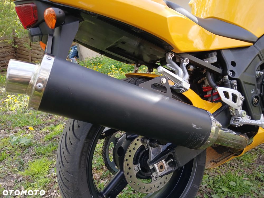 Triumph Daytona - 10