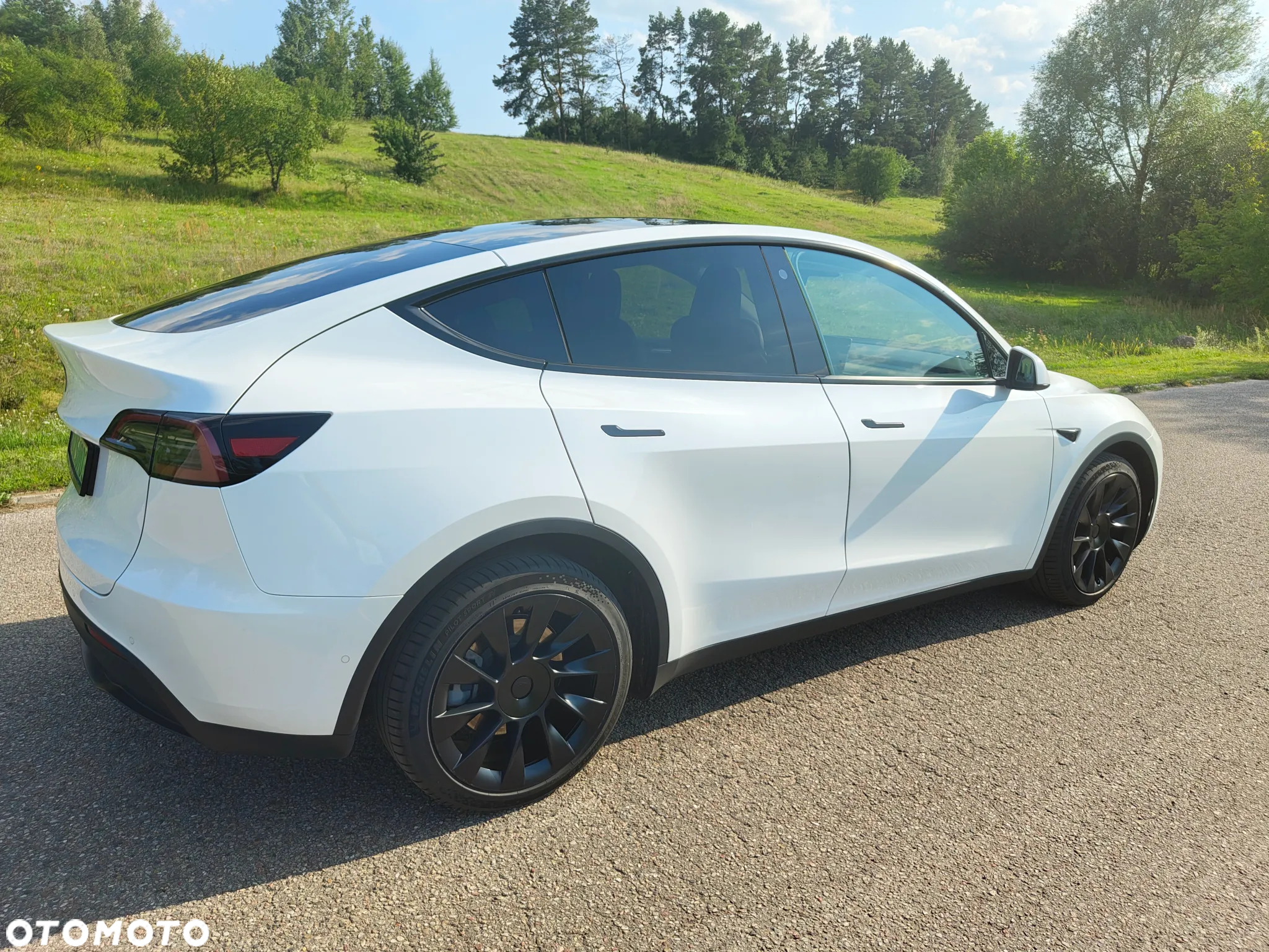 Tesla Y Model Long Range Dual Motor AWD - 7