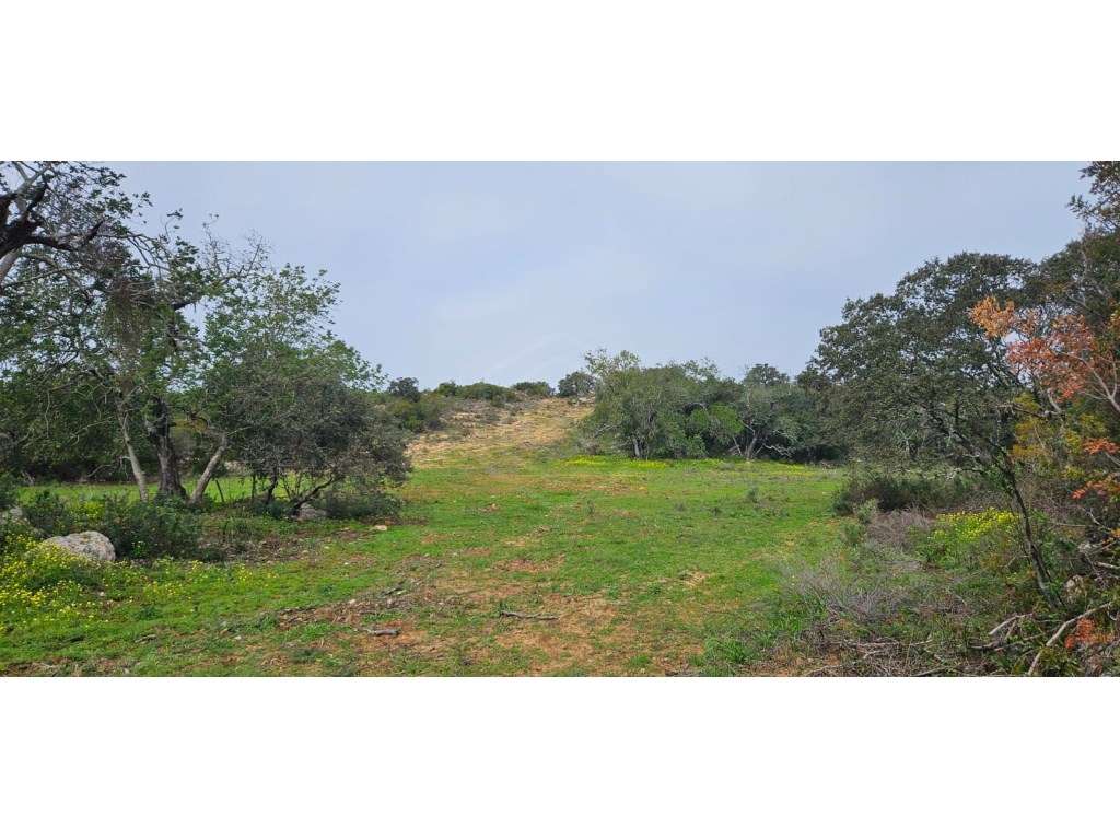 Terreno misto em Santo Estêvão, Tavira, Algarve - Grande imagem: 2/16
