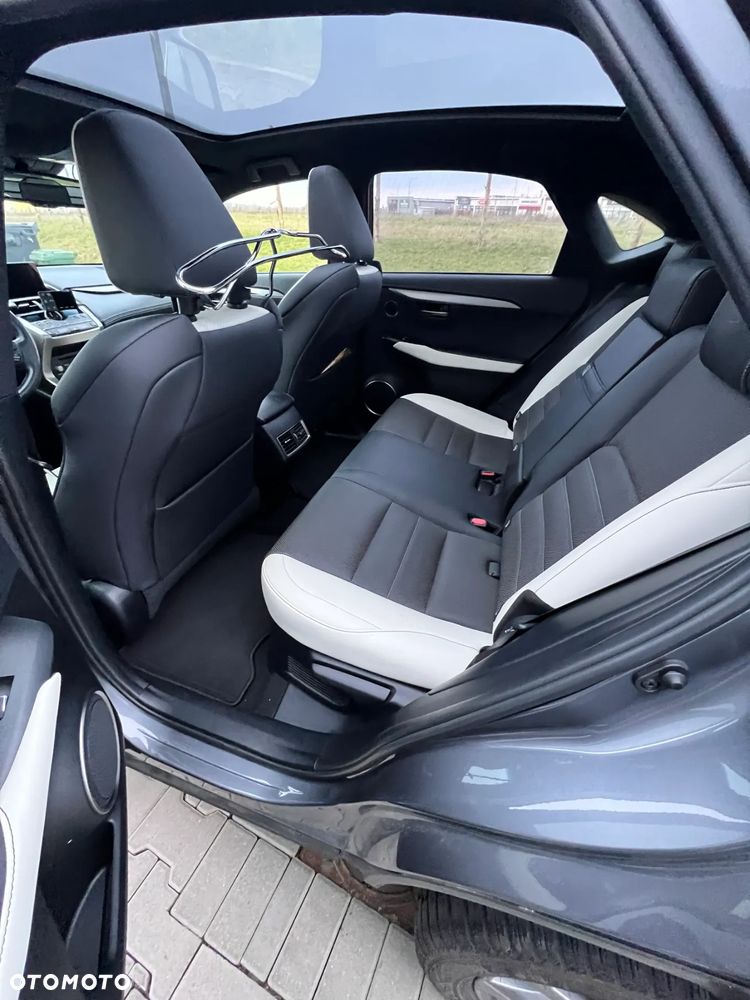 Lexus NX 300h F Sport AWD - 11