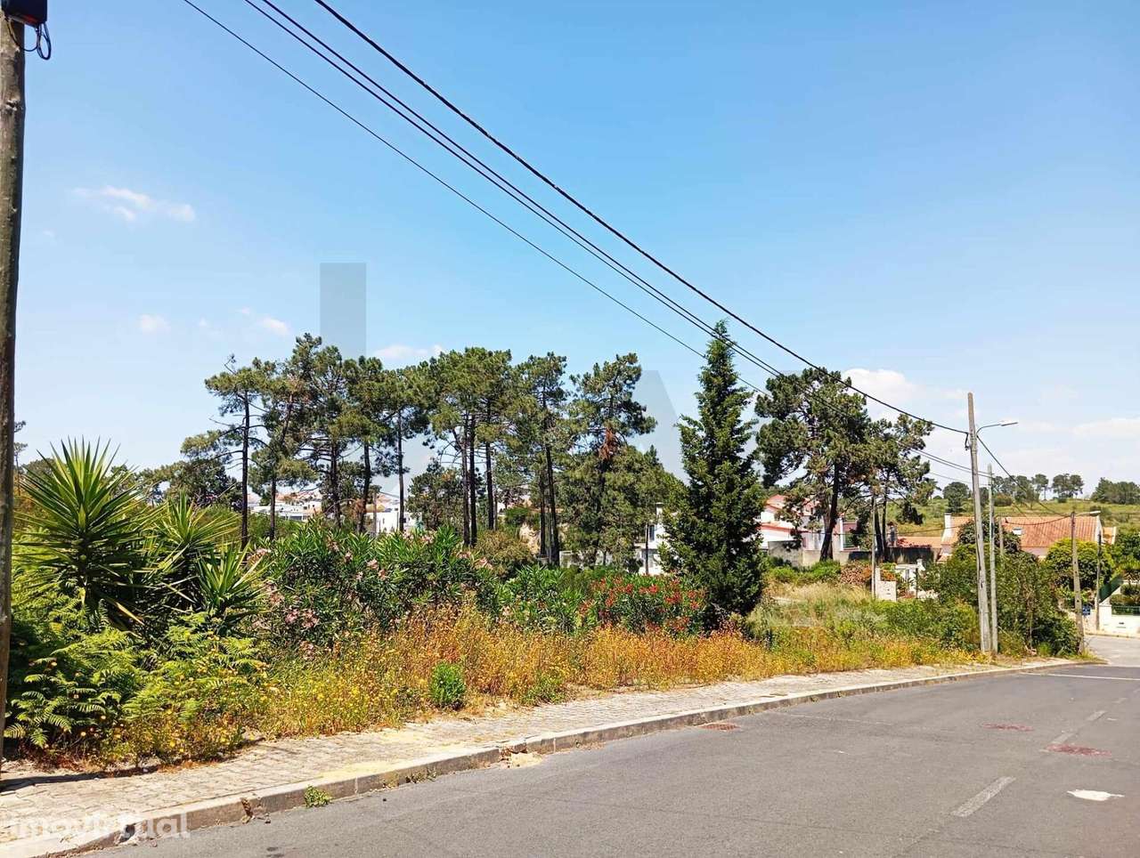 Terreno para Construção de Moradia – Oportunidade Única na Verdizela - Grande imagem: 2/16