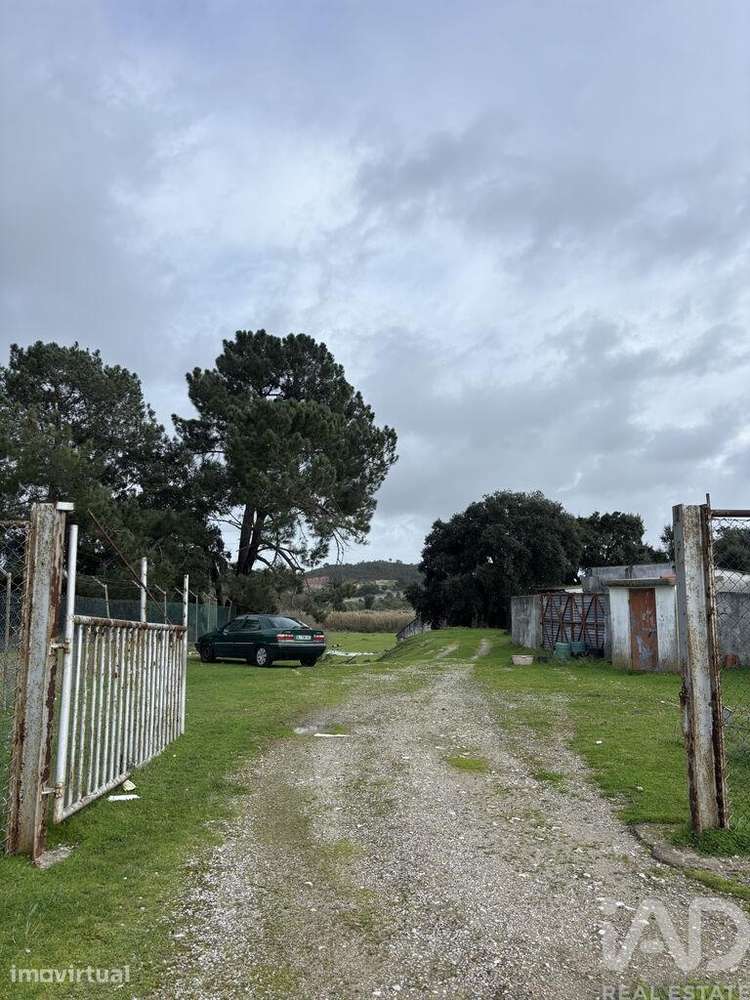 Terreno em Quinta do Conde - Grande imagem: 3/13