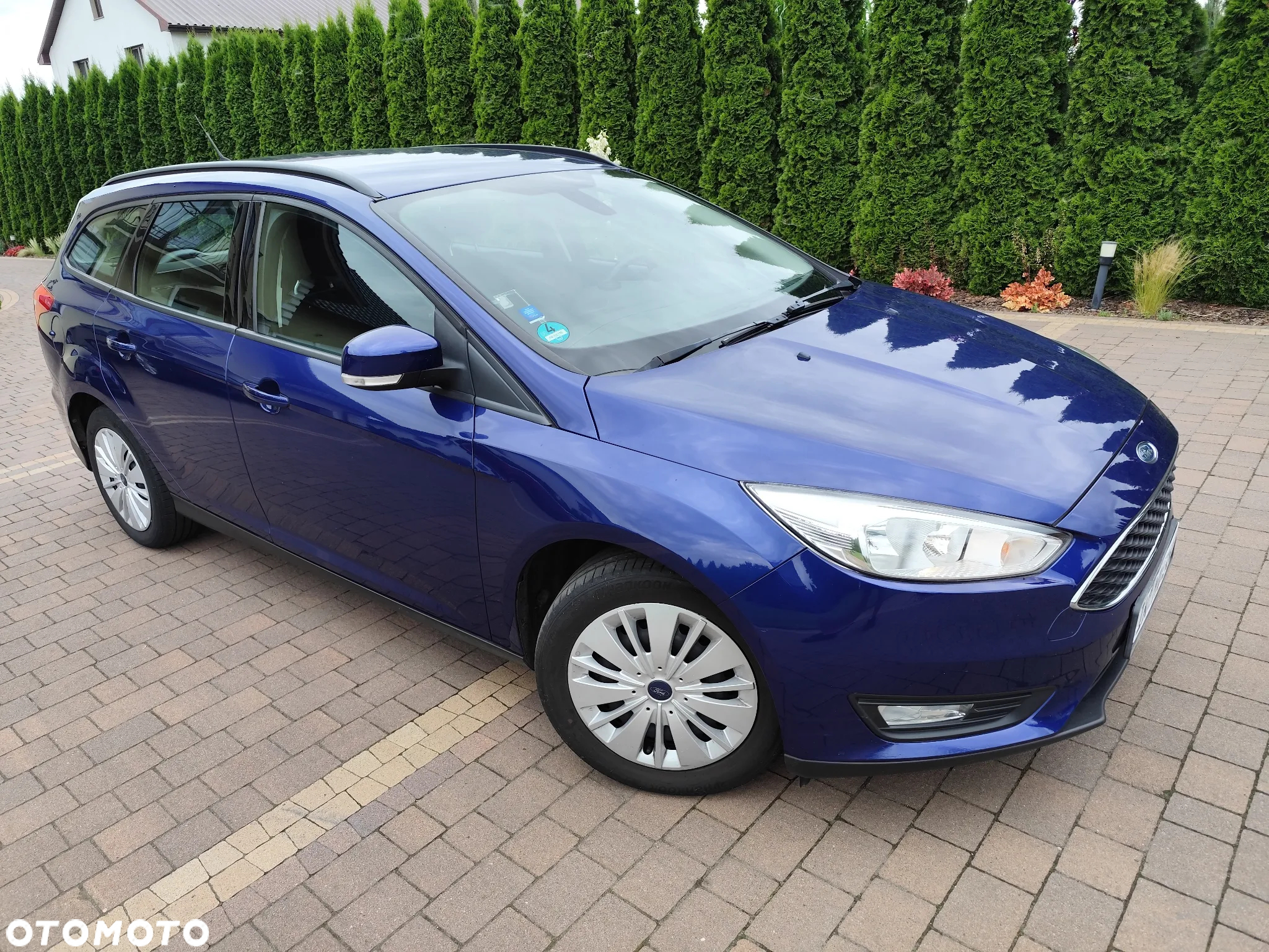 Ford Focus 1.6 Gold X (Trend) - 7