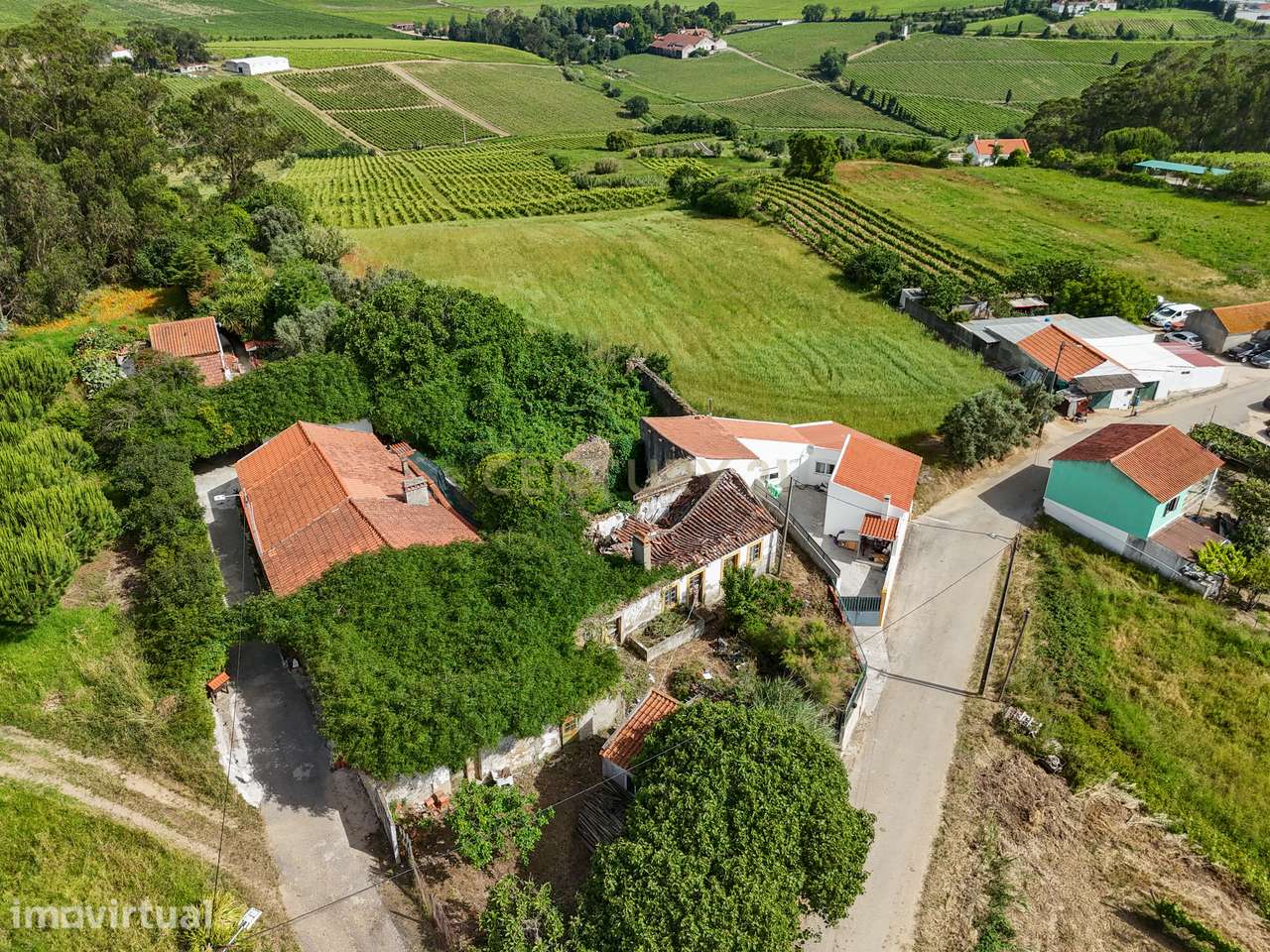 Moradia Térrea para Remodelação - Grande imagem: 3/8
