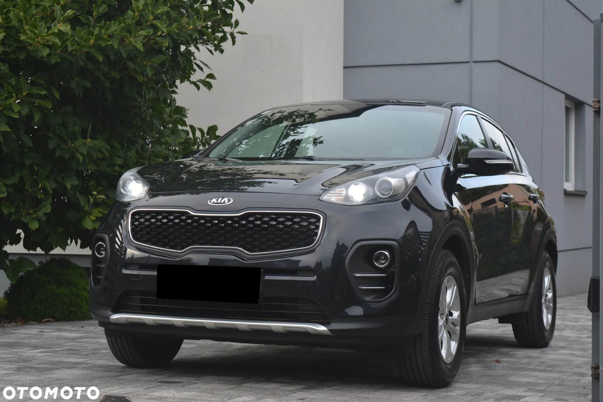 Kia Sportage 1.6 GDI Black Edition 2WD - 3
