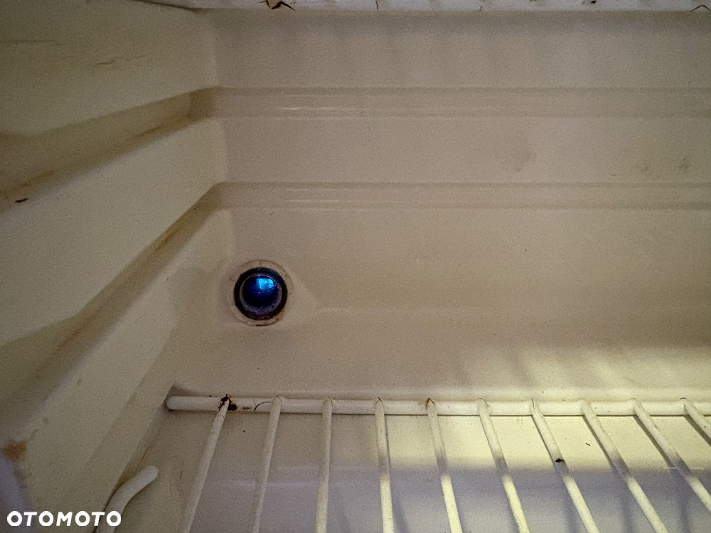 Bailey Pageant Majestic - 12