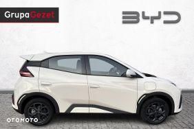 BYD Dolphin Surf - 6