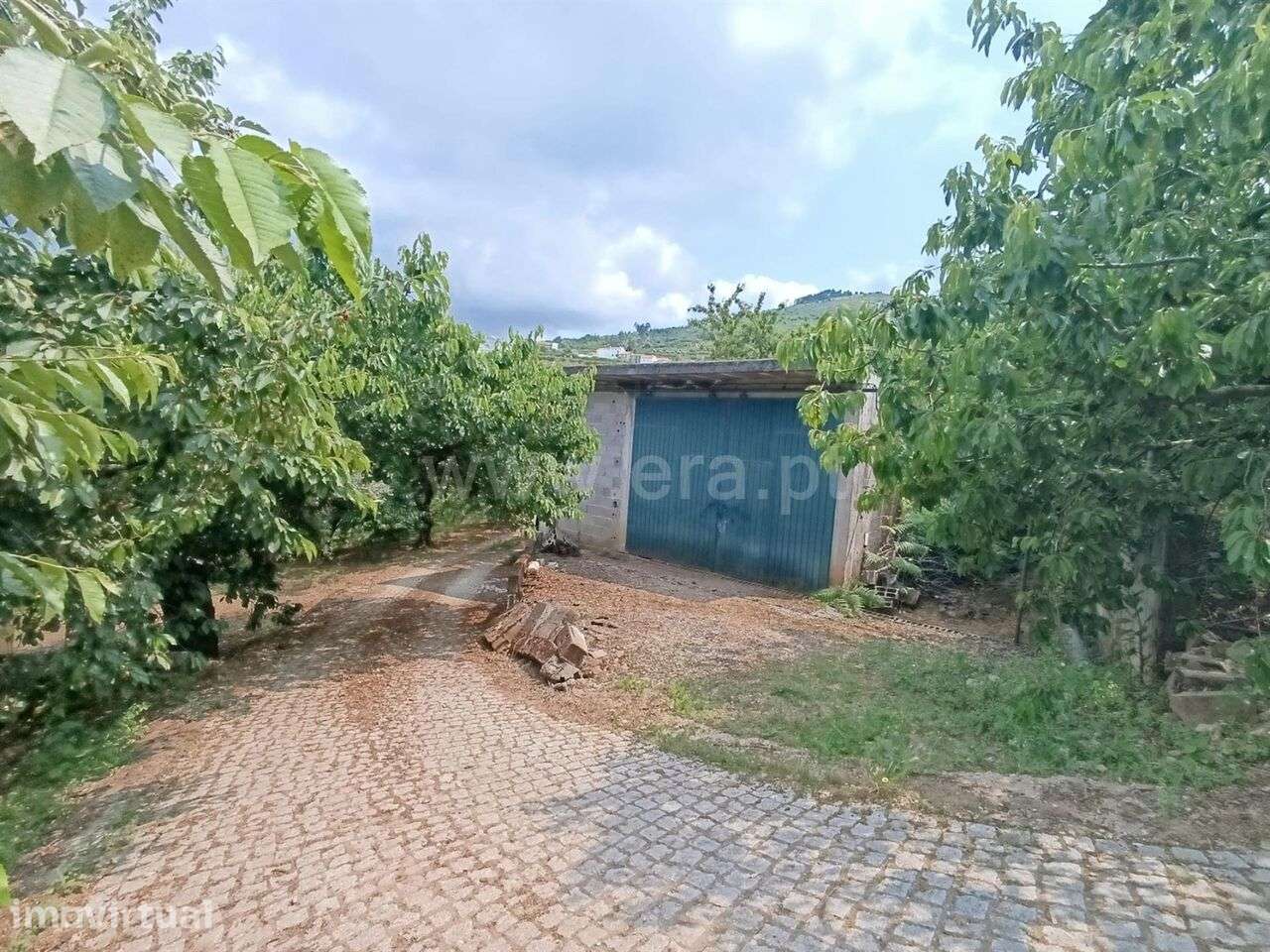 Quinta / Fundão, Alcongosta - Grande imagem: 2/7