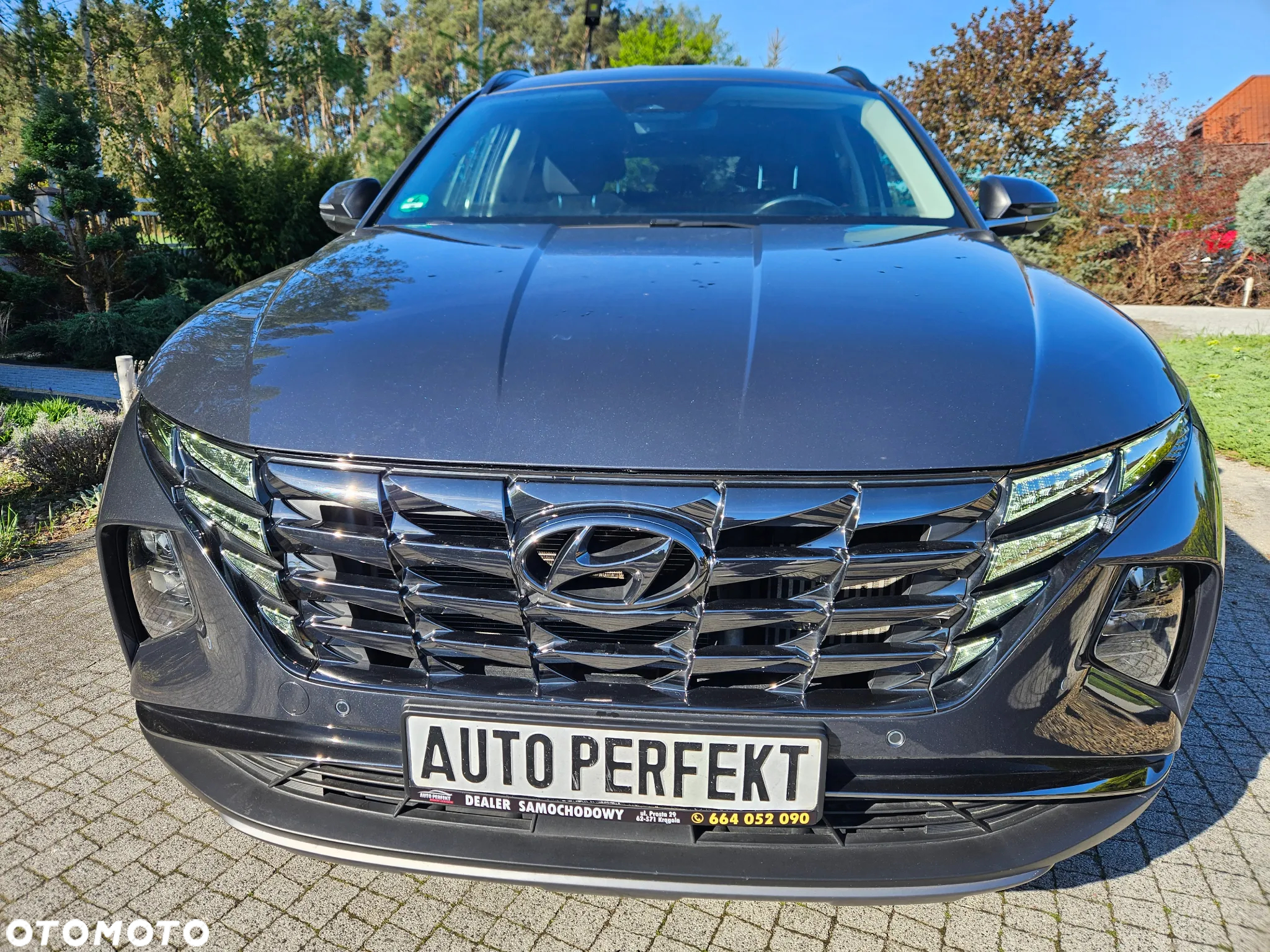 Hyundai Tucson 1.6 T-GDi 48V-Hybrid 2WD Select - 2