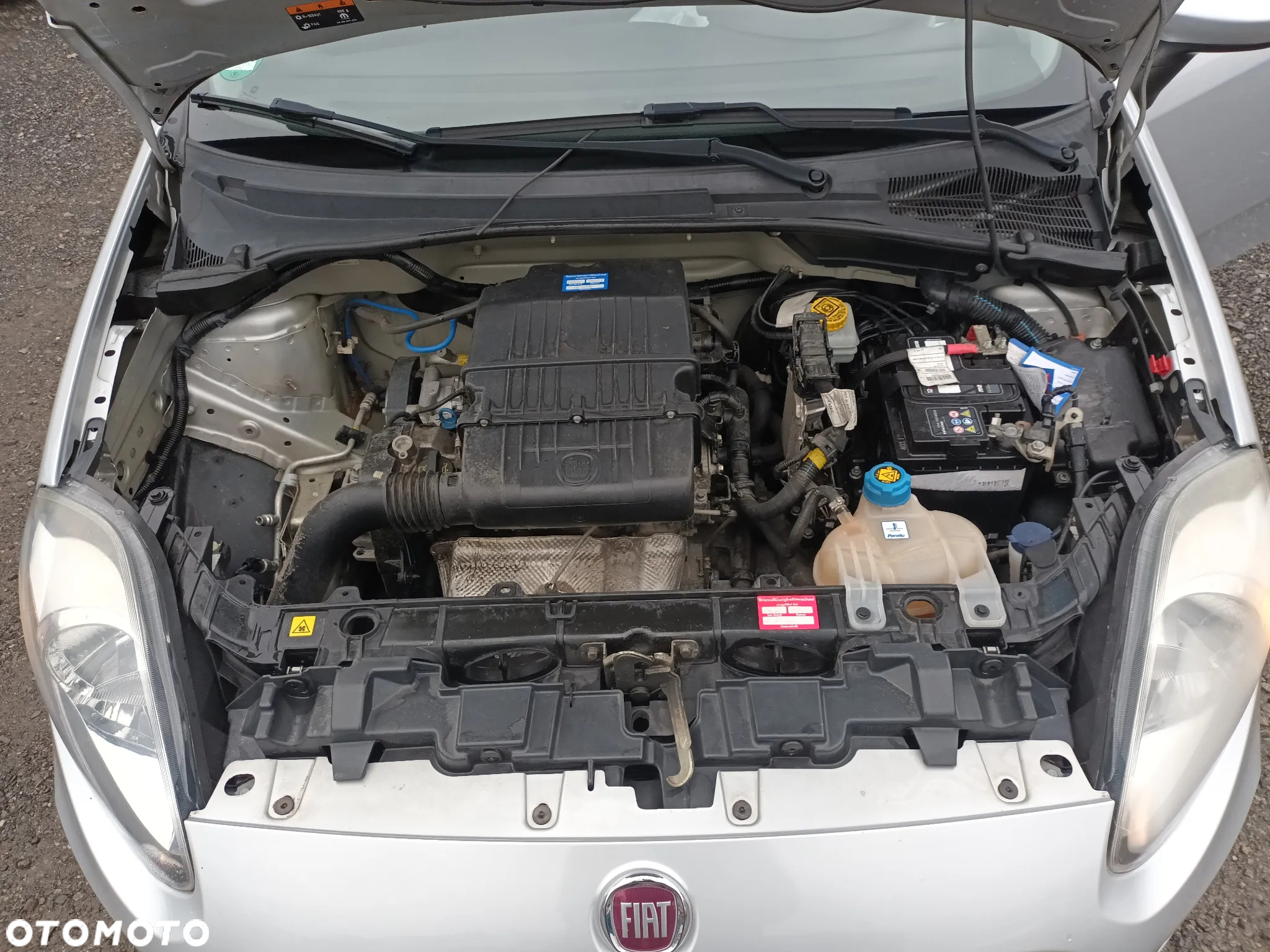 Fiat Punto Evo 1.2 8V MyStyle - 9